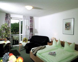 Hotel Am Pfahl Viechtach Dış mekan fotoğraf